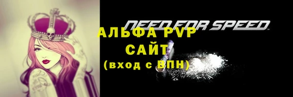 прущий лед Нея