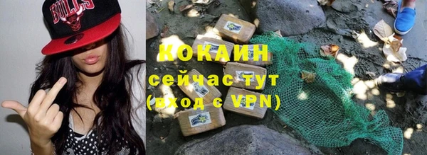 гашик Белоозёрский